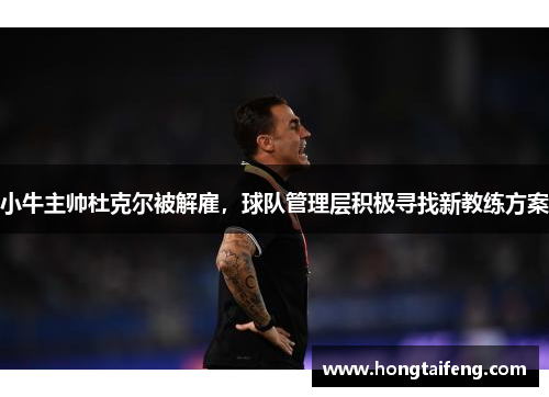 小牛主帅杜克尔被解雇，球队管理层积极寻找新教练方案