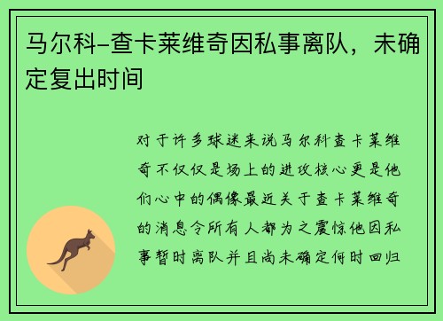 马尔科-查卡莱维奇因私事离队，未确定复出时间