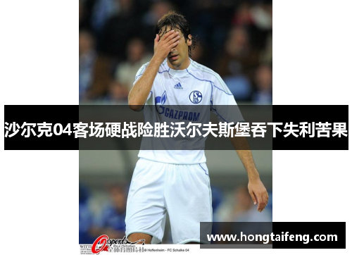 沙尔克04客场硬战险胜沃尔夫斯堡吞下失利苦果