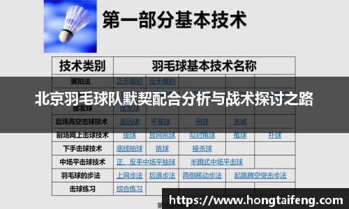 北京羽毛球队默契配合分析与战术探讨之路